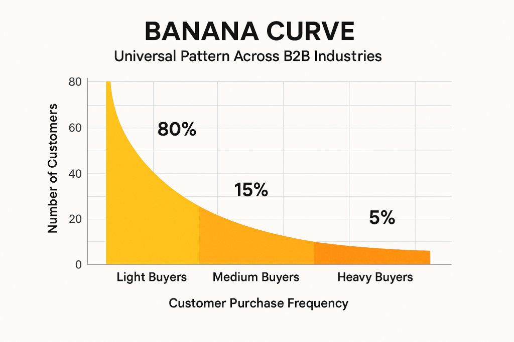 Banana curve chart showing distribution of B2B customers with 80% light buyers, 15% medium buyers, and 5% heavy buyers, illustrating the universal pattern across industries